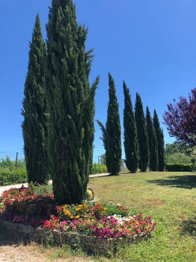 Appartement Il Gufo Del Chianti à Montespertoli Extérieur photo