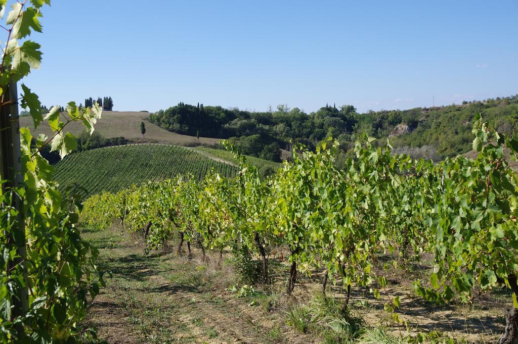 Appartement Il Gufo Del Chianti à Montespertoli Extérieur photo