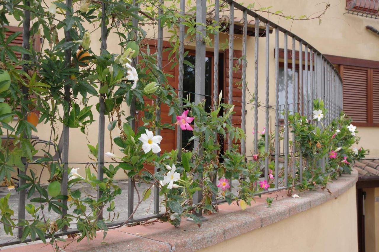 Appartement Il Gufo Del Chianti à Montespertoli Extérieur photo